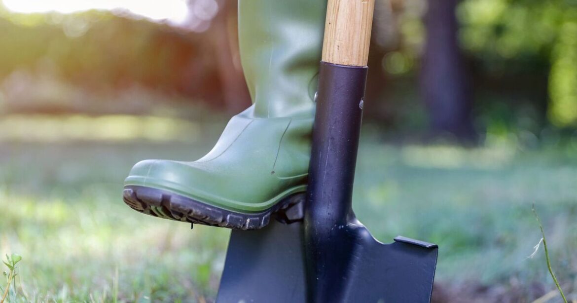 Woman’s life changes forever after making ‘creepy’ discovery in garden Woman's life changes forever after making 'creepy' discovery in garden