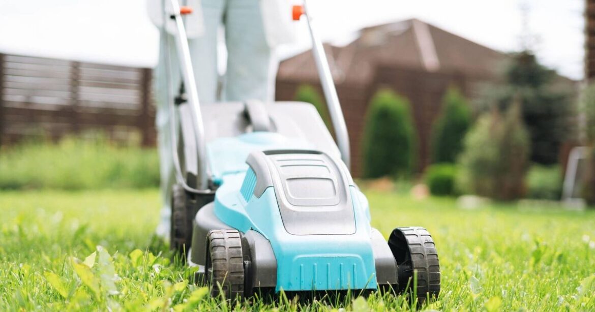 Expert shares the exact time you should mow your lawn for greener grass Expert shares the exact time you should mow your lawn for greener grass