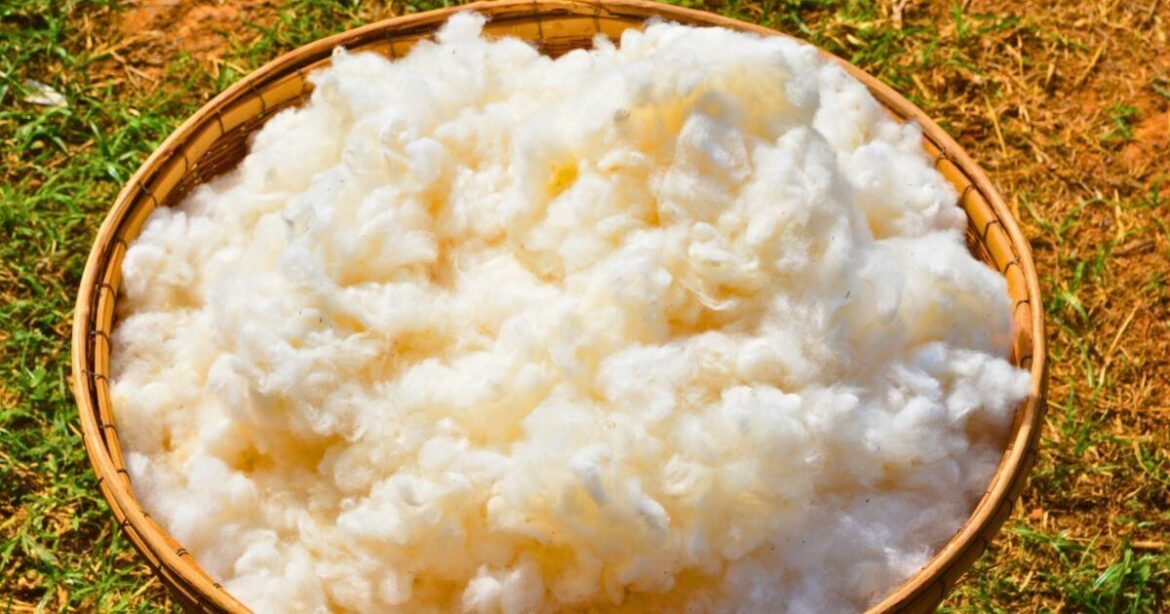 Gardeners urged to place wool in gardens in April before spring ends Gardeners urged to place wool in gardens in April before spring ends