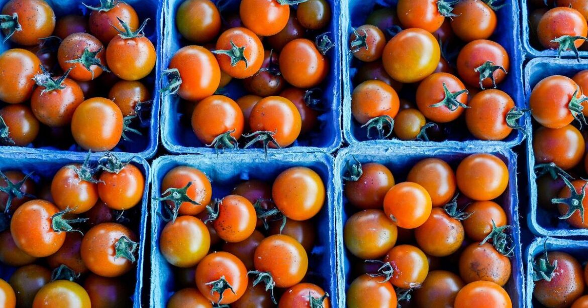 Tomatoes will multiply if you plant 1 item you have in garden soil