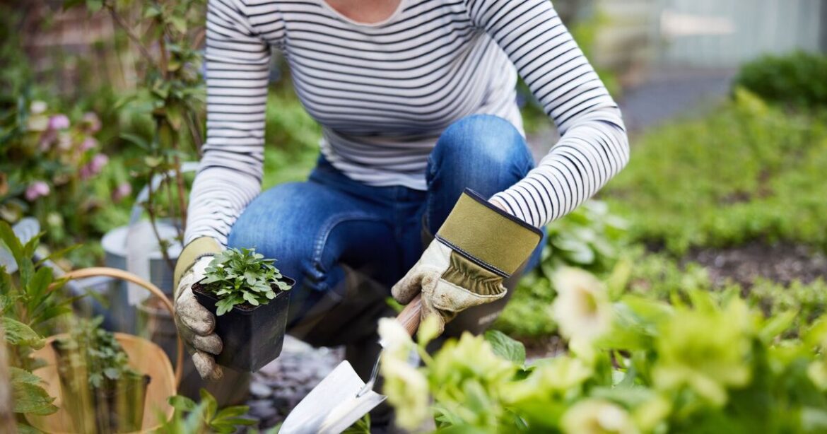 RHS urges gardeners to do 1 thing before the end of April RHS urges gardeners to do 1 thing before the end of April