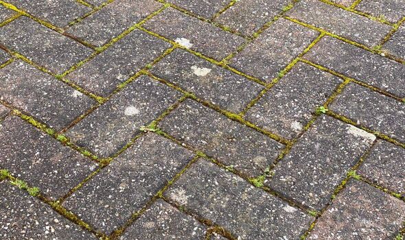 Paving moss and weeds Paving moss and weeds