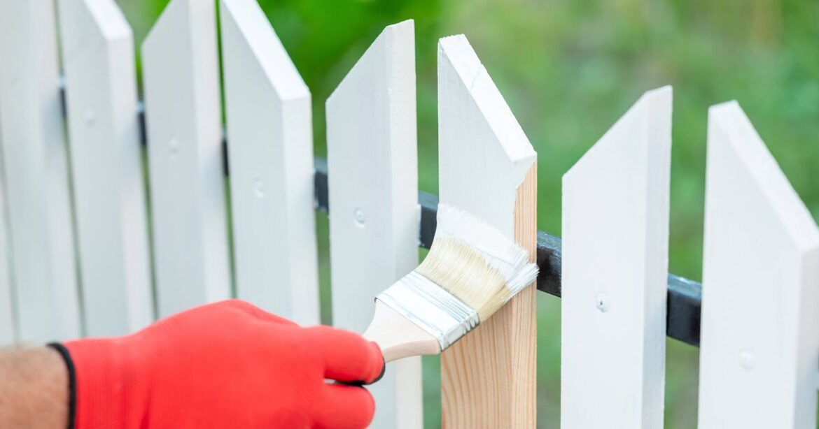 Gardeners urged to paint their fences white Gardeners urged to paint their fences white
