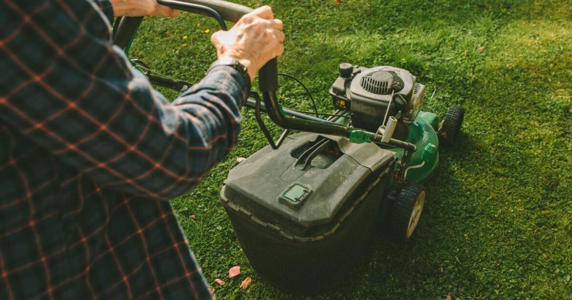 Gardeners urged not to cut their lawns in 1 area this April