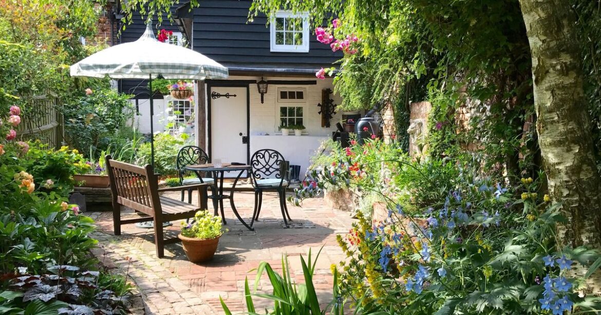 Garden expert shares 3 items you should buy to elevate summer garden Garden expert shares 3 items you should buy to elevate summer garden
