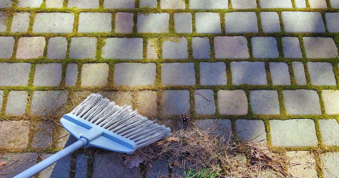 How to get rid of patio moss with natural ingredient How to get rid of patio moss with natural ingredient