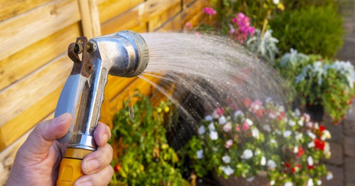 Alan Titchmarsh warns gardeners not to make common watering mistake Alan Titchmarsh warns gardeners not to make common watering mistake