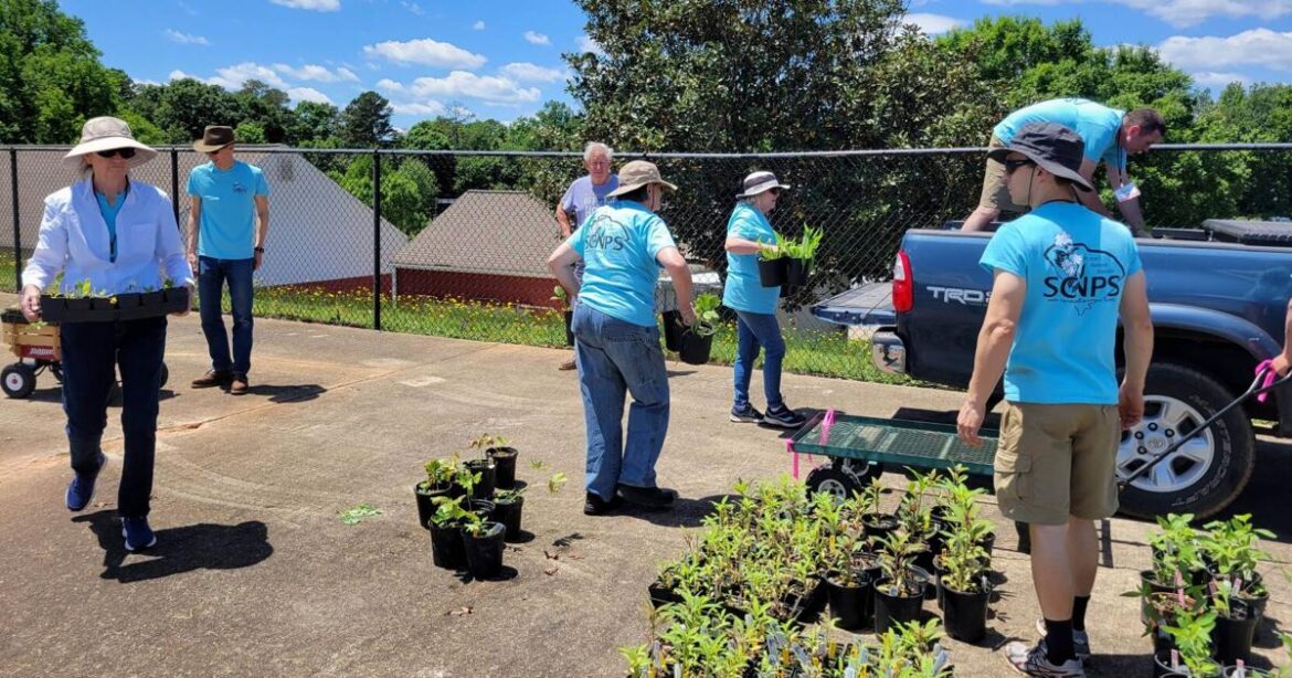 Midlands native plant sale promotes SC native gardening Midlands native plant sale promotes SC native gardening