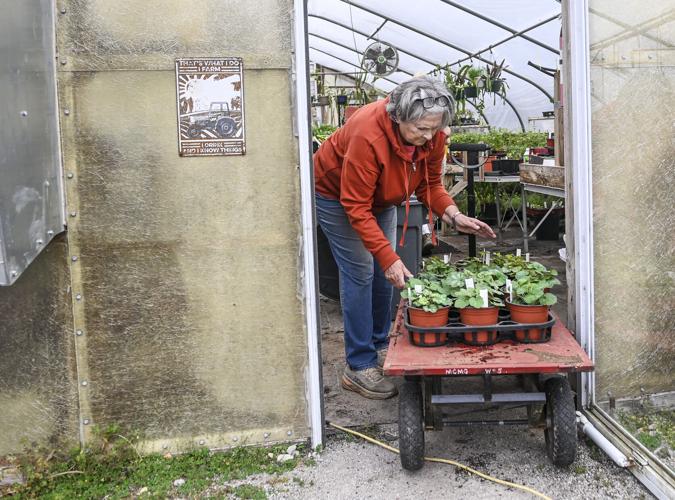 Master Gardeners plant sale returns this weekend Master Gardeners plant sale returns this weekend