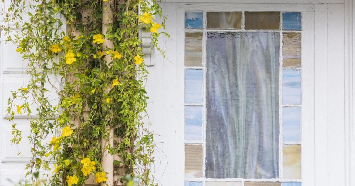 Attack weedy vines like cat's claw, bush killer now | Home/Garden
