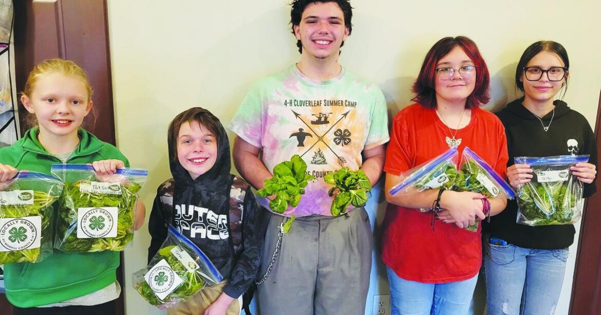 Community Garden is fruitful | News Community Garden is fruitful | News