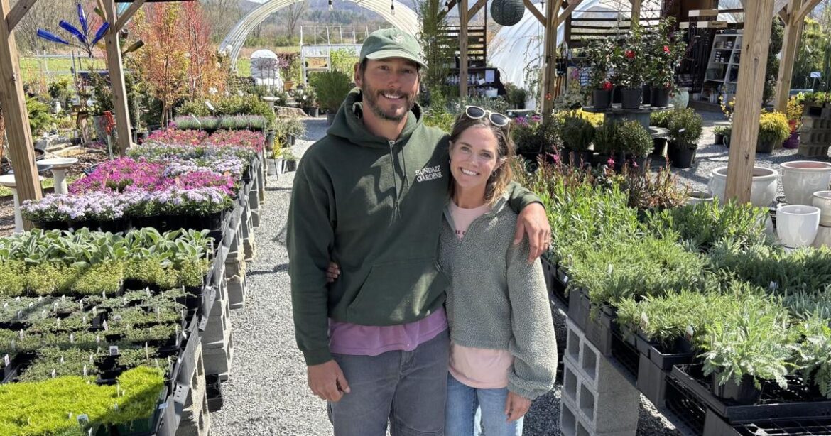 Sundaze Gardens: The little nursery that could | News Sundaze Gardens: The little nursery that could | News