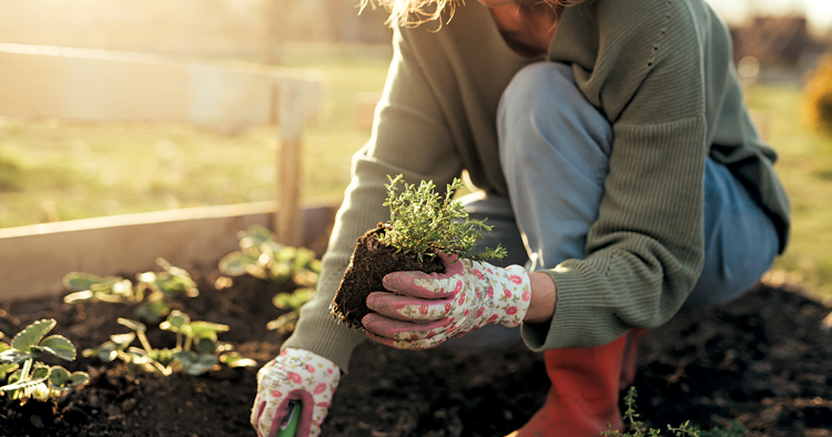 How to make a spring garden flourish | Living How to make a spring garden flourish | Living