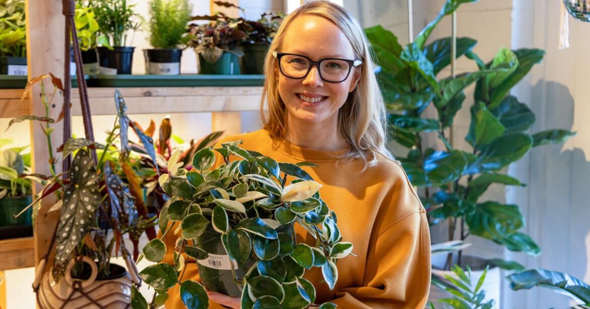 Lush Plant Co.strives to be a resource for plant lovers | Business Lush Plant Co.strives to be a resource for plant lovers | Business