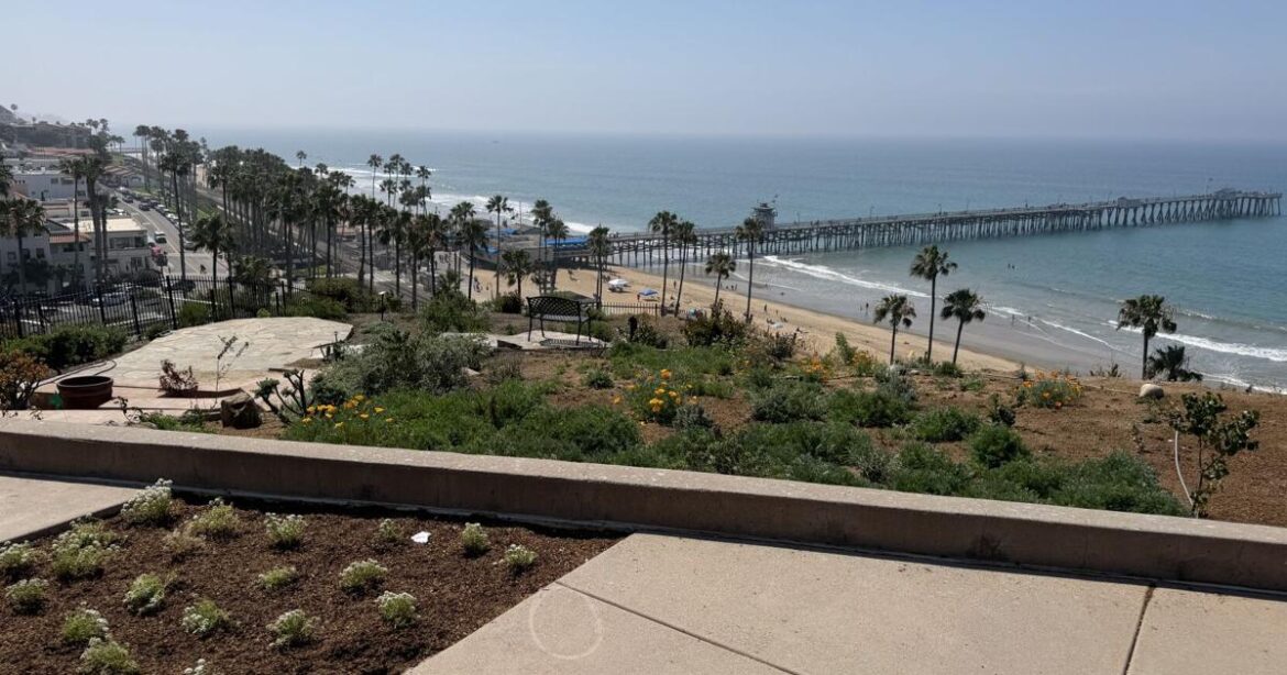 Casa Spring Preview Showcases Art, Gardens, Music & Cultural Programming | Eye on SC