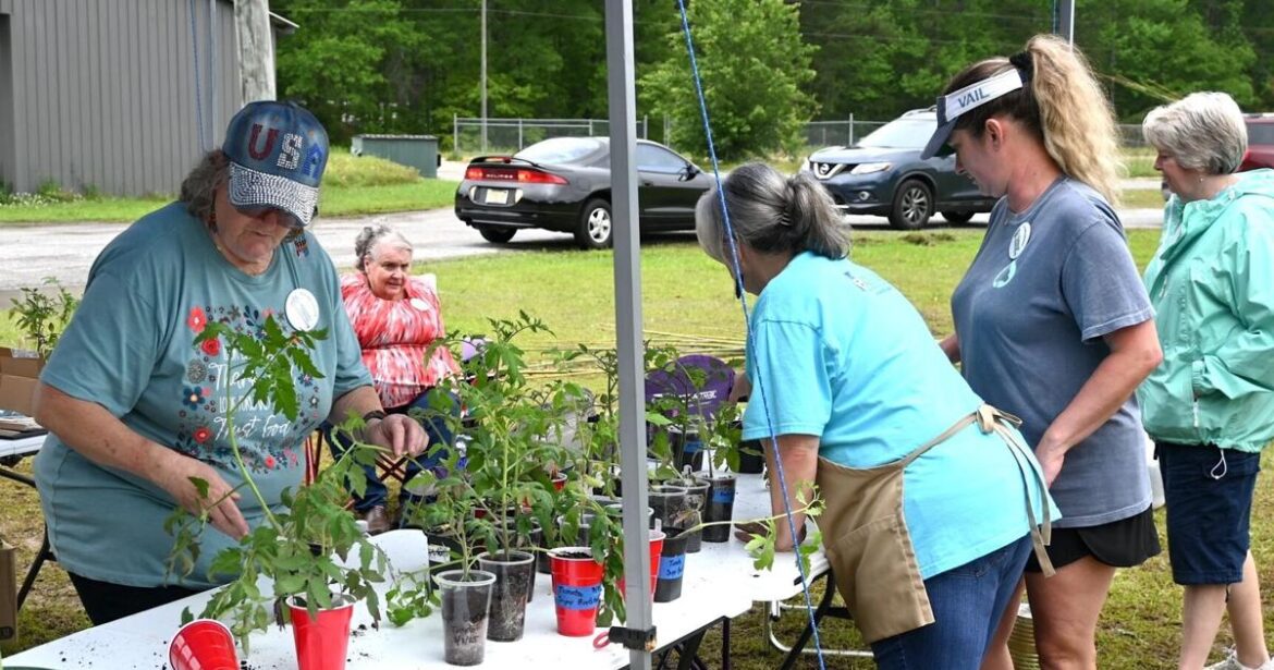 Master Gardeners Plant Sale set for April 11 | News Master Gardeners Plant Sale set for April 11 | News