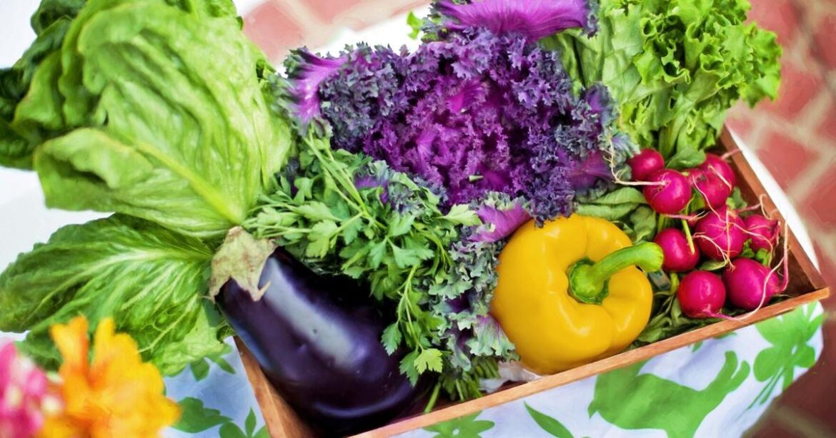 Garden tips for 2026 | Master Gardener | Garden tips for 2026 | Master Gardener |
