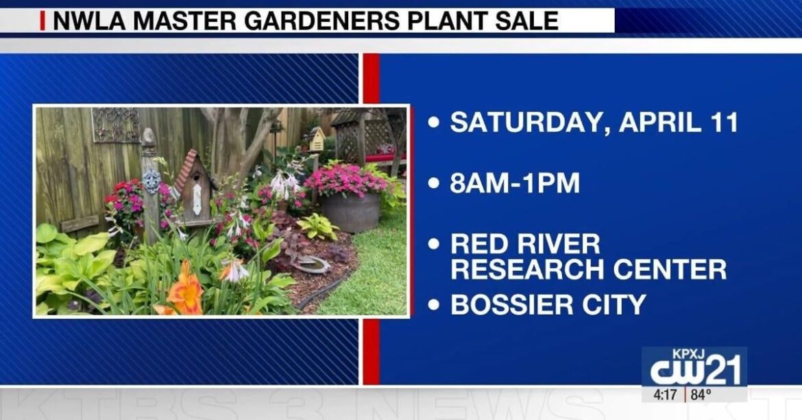 Northwest Louisiana Master Gardeners to host annual Spring Sale | Community Northwest Louisiana Master Gardeners to host annual Spring Sale | Community