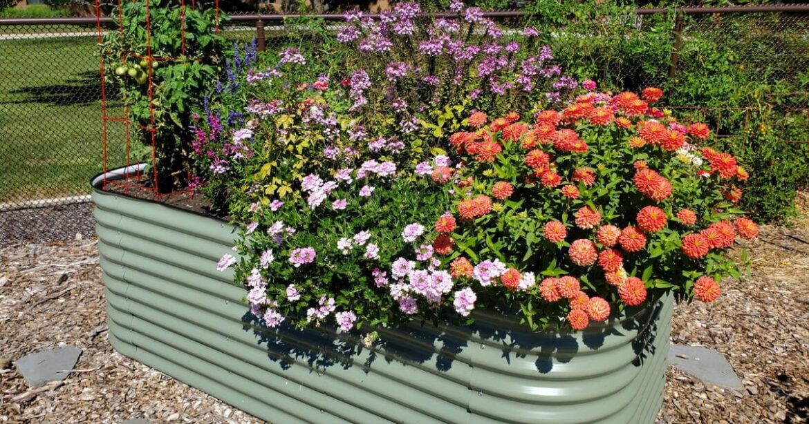 In the Garden | Win-win situation: Support pollinators with your vegetable garden | Gardening In the Garden | Win-win situation: Support pollinators with your vegetable garden | Gardening