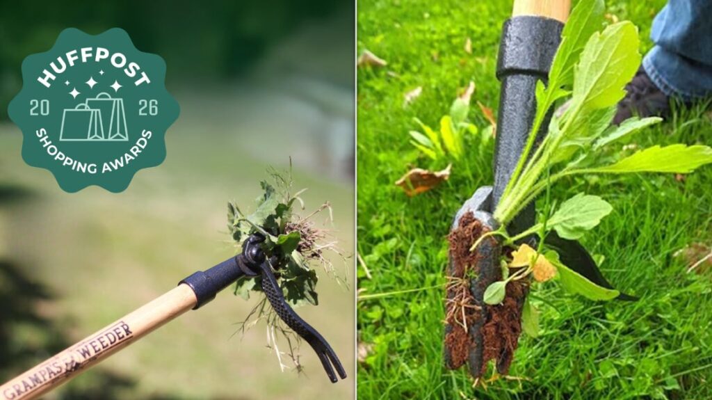 Grampa’s Weeder Can Prevent Back Pain While Gardening Grampa's Weeder Can Prevent Back Pain While Gardening