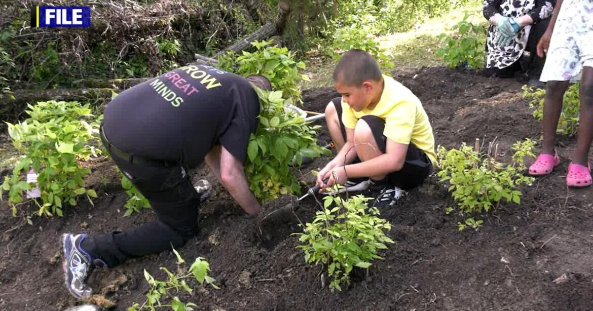 Spring Gardening Tips | News