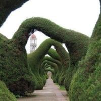 Reader photo pick of the week: City gardens Reader photo pick of the week: City gardens