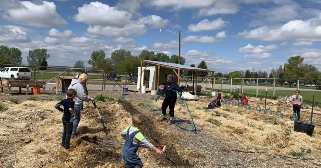 Generous Roots Garden Company grows community gardens with schools | Homepage Generous Roots Garden Company grows community gardens with schools | Homepage