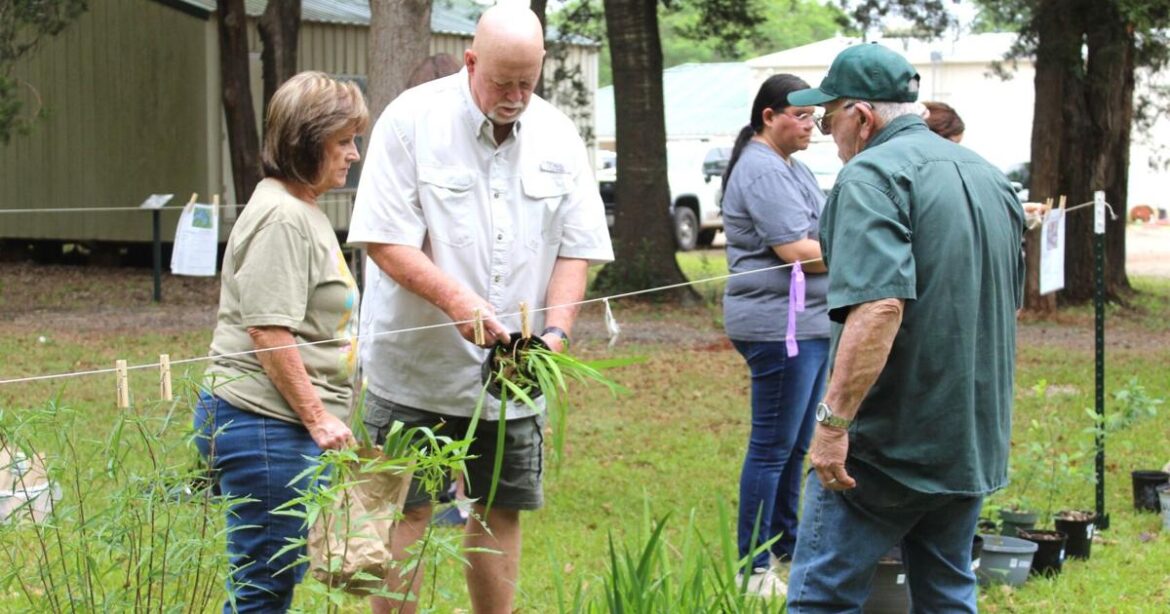 Cherokee County Master Gardeners host Spring Plant Sale | Local News Cherokee County Master Gardeners host Spring Plant Sale | Local News