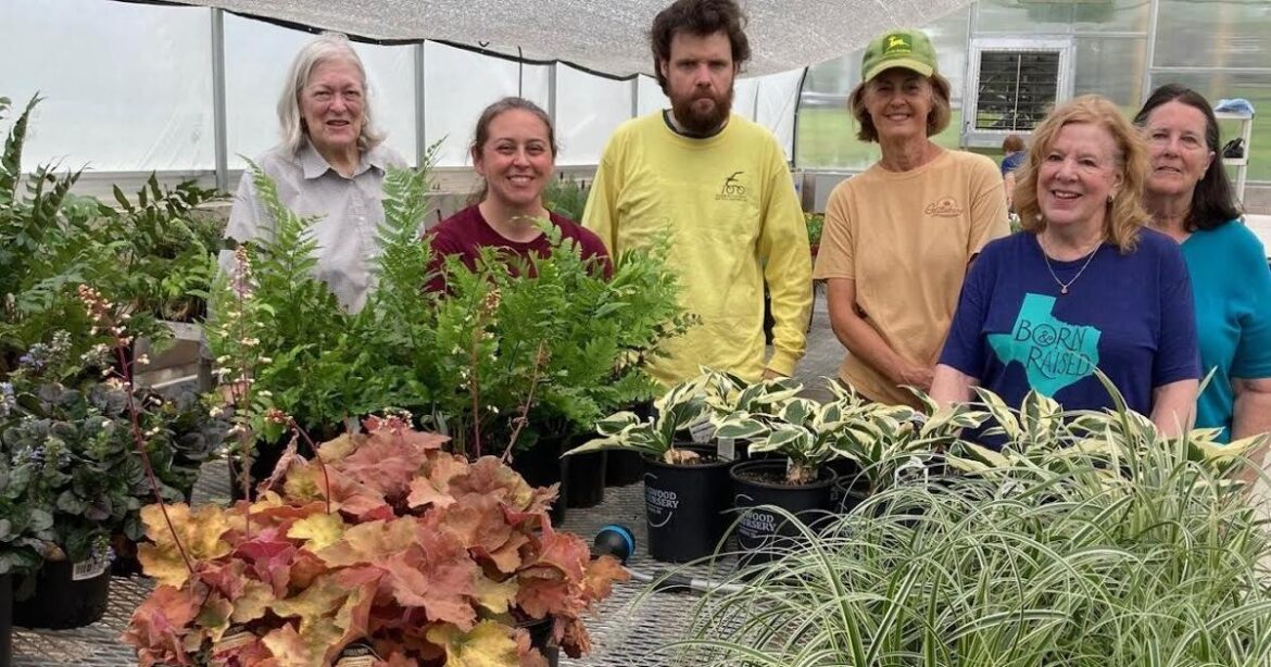 From the Master Gardeners: Stars for your yard | News From the Master Gardeners: Stars for your yard | News