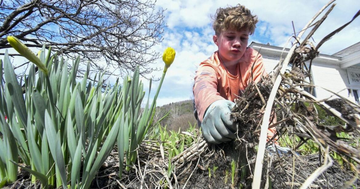 Cleaning up the garden | Local News Cleaning up the garden | Local News