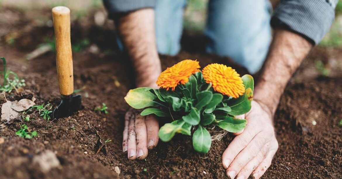 Rural Pen: Why is gardening so much more work? | Lifestyle