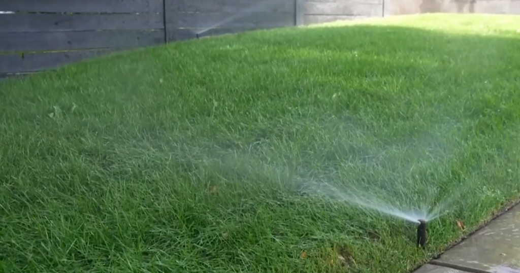 Conservationist shares info on environment friendly lawn and garden prep | Local & State News