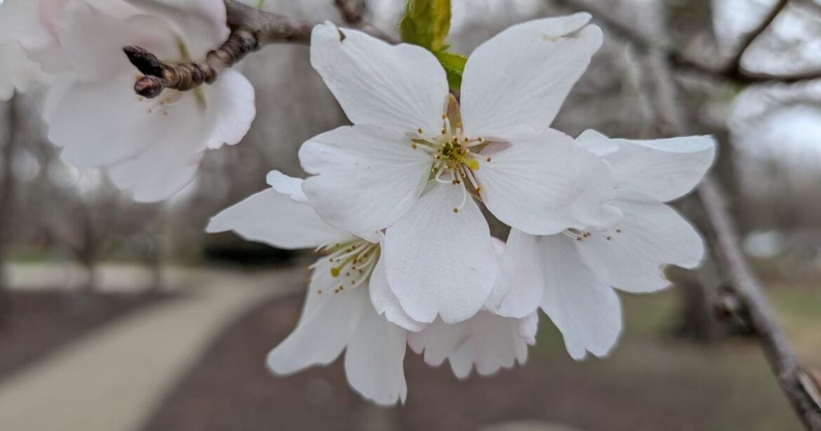 In the Garden | Growing in sync | Gardening In the Garden | Growing in sync | Gardening