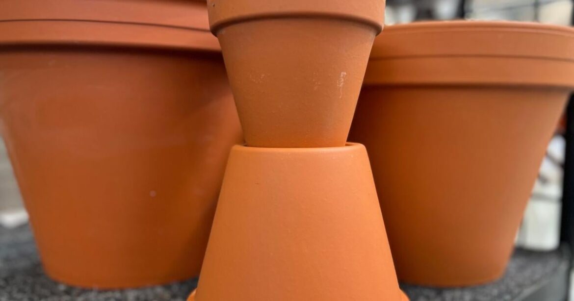 Plastic garden gear can add microplastics to the soil. Here are some alternatives | Lifestyles