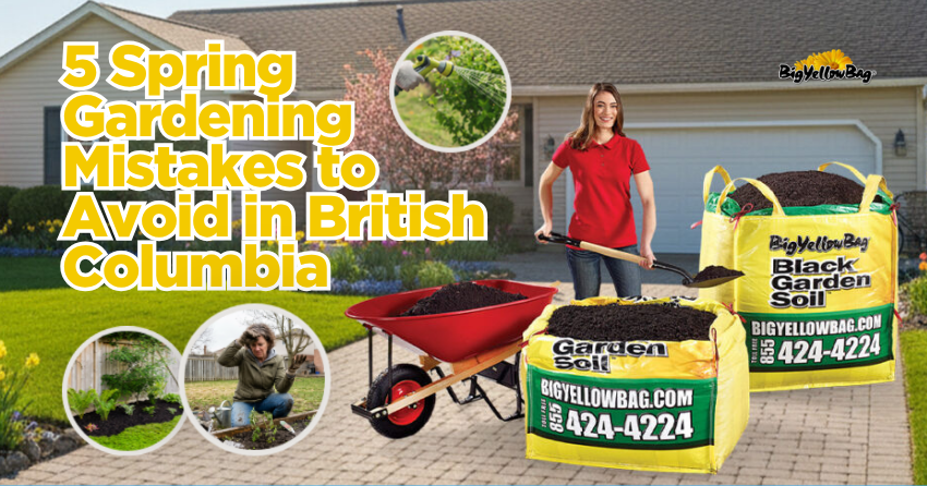 5 Spring Gardening Mistakes to Avoid in British Columbia 5 Spring Gardening Mistakes to Avoid in British Columbia