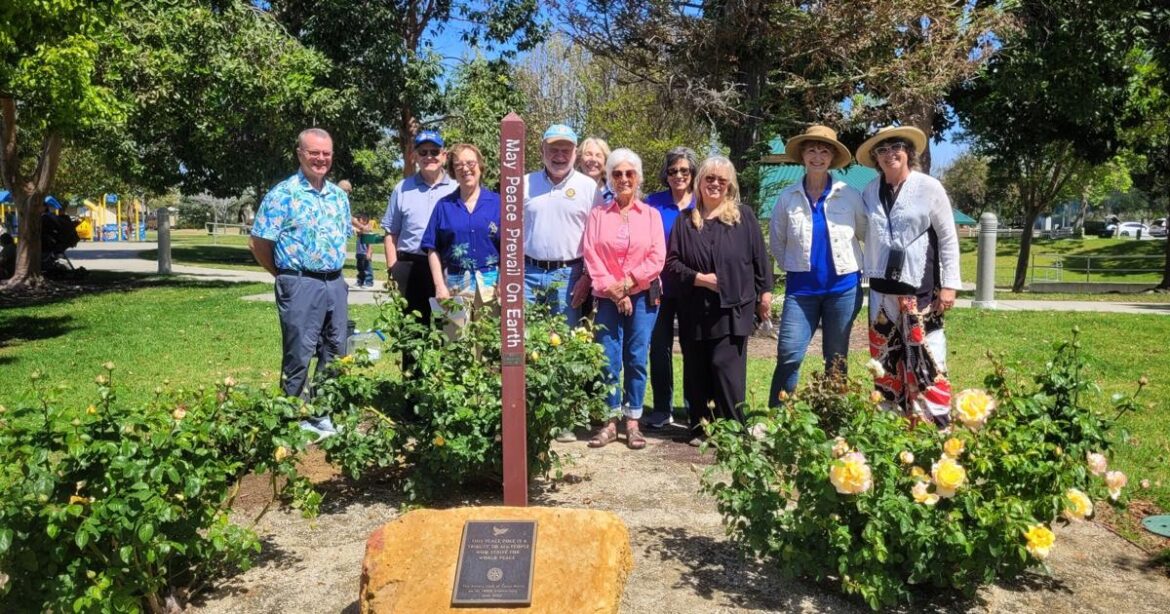 The Rotary Club of Santa Maria adds two rose bushes to peace garden | Local News