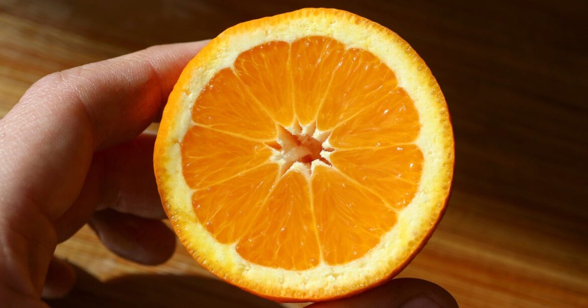 Gardeners Told To Place Common Household Fruit In Their Lawns Gardeners Told To Place Common Household Fruit In Their Lawns