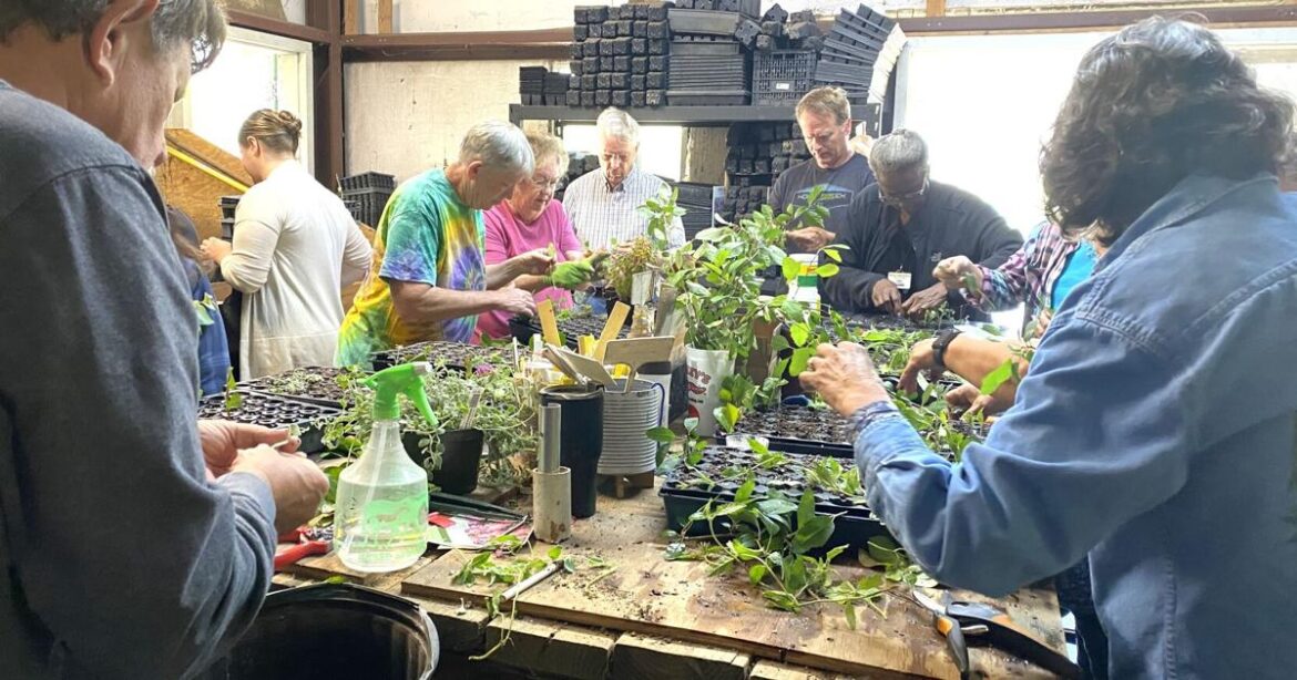 SFA Gardens seminar focuses on plant propagation | Local News