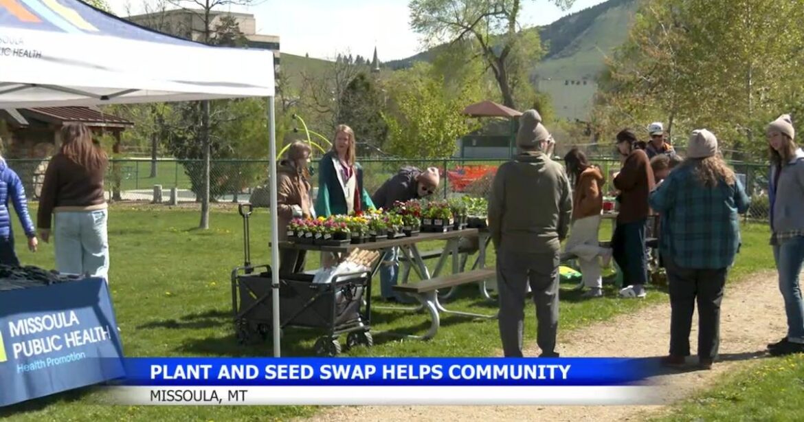 Missoula plant and seed swap helps families start gardening | Missoula News Missoula plant and seed swap helps families start gardening | Missoula News