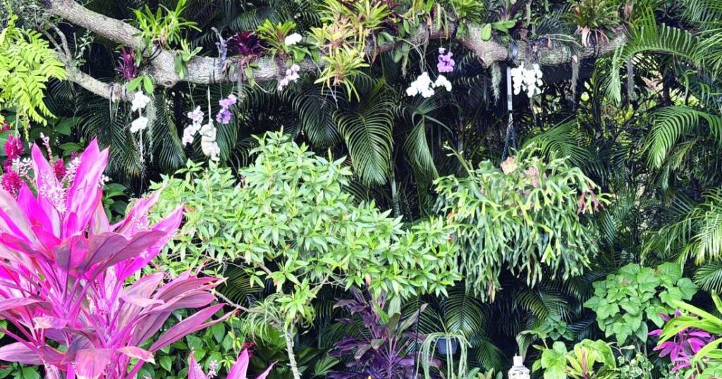 Secret Garden tour blooms May 9 | Melbourne Secret Garden tour blooms May 9 | Melbourne