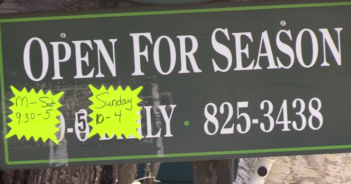 Local greenhouses open the doors to eager gardeners for Spring | Local News Local greenhouses open the doors to eager gardeners for Spring | Local News