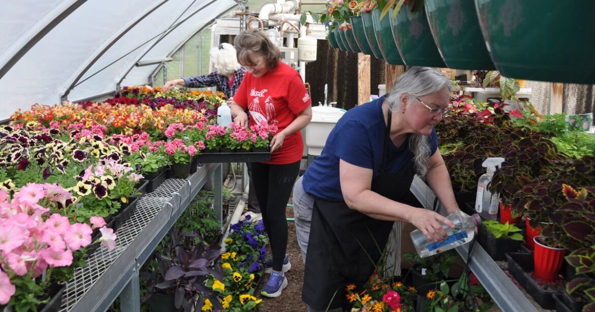 Gardening: Associated Garden Clubs specializes in annuals and hanging baskets for plant sale Gardening: Associated Garden Clubs specializes in annuals and hanging baskets for plant sale