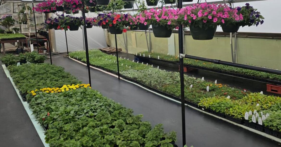 Community turns out for Kane Garden Club’s Earth Day basket party | News