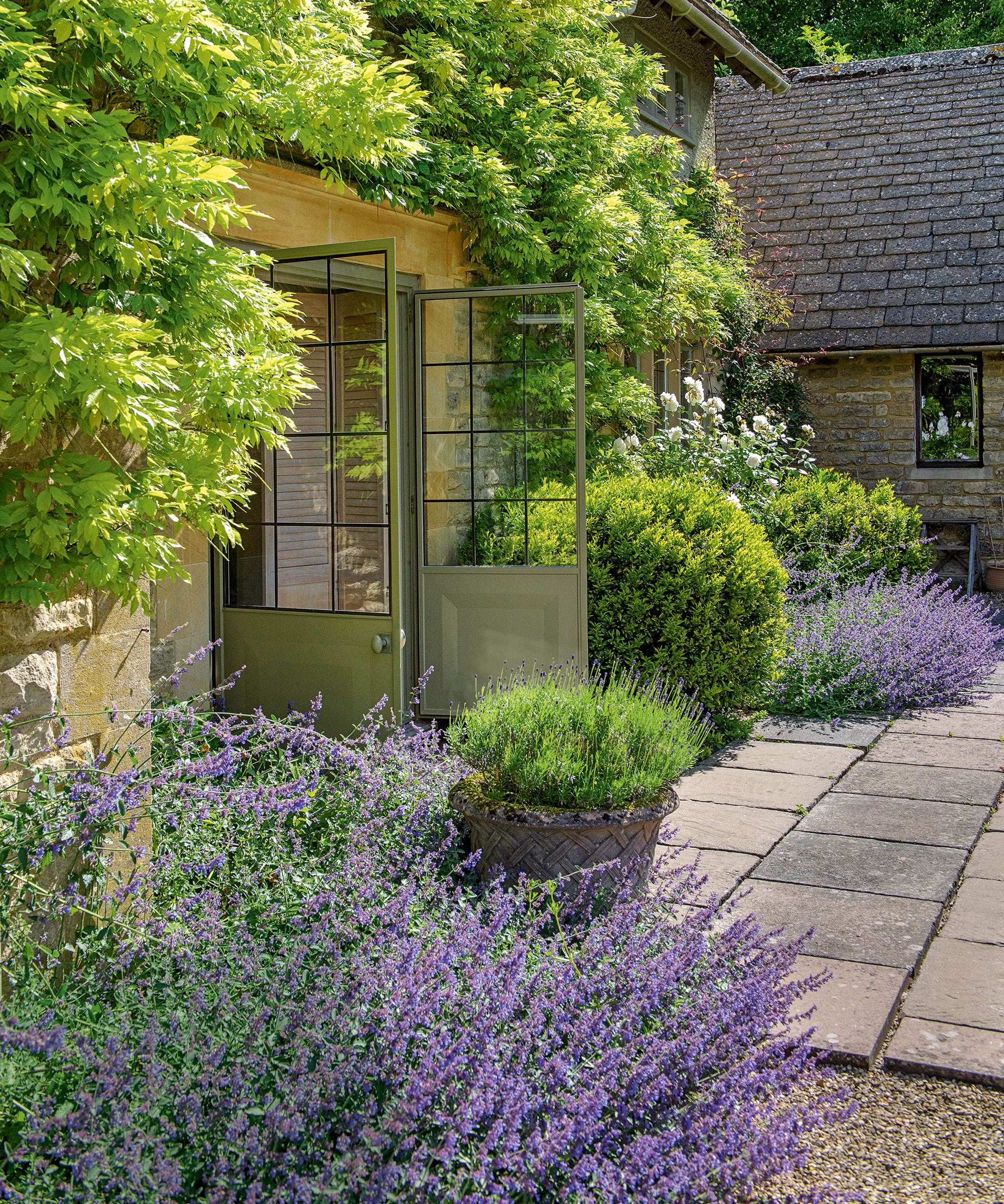 Mediterranean garden with lavender