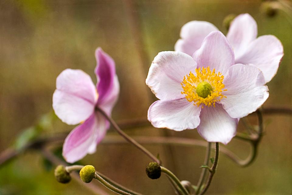 Credit: Shodiqq Yaz / 500px / Getty Images