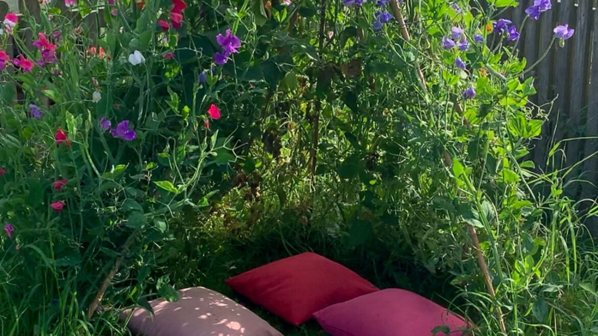 How I make my sweet pea tents (and why you should, too!)
