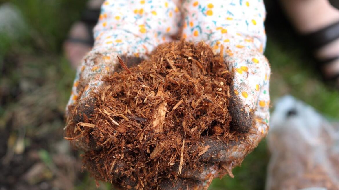 You Might Be Mulching Your Garden All Wrong—Here’s What Experts Want You to Know You Might Be Mulching Your Garden All Wrong—Here’s What Experts Want You to Know