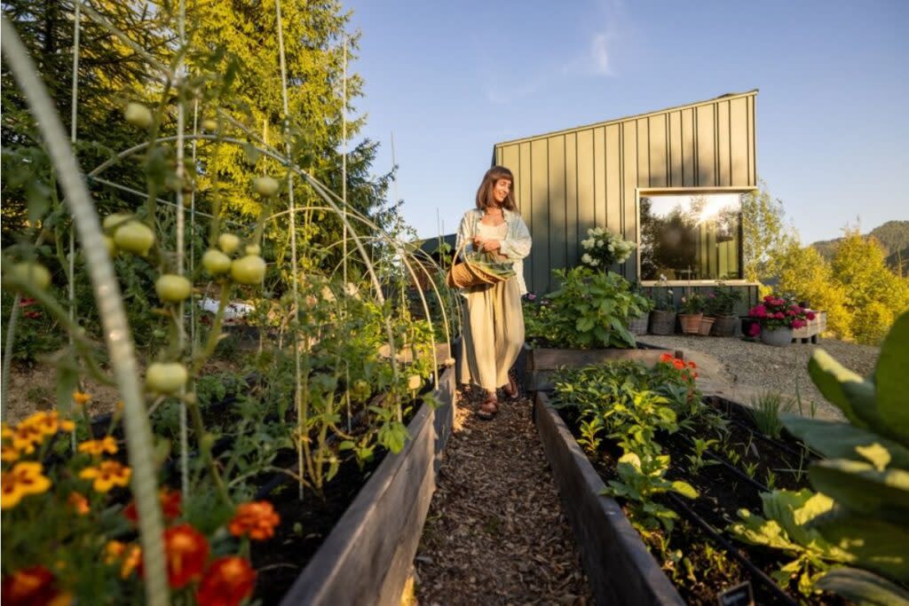Home Gardeners Are Overlooking This Simple Timing Rule That Can Strongly Affect Bloom Quality in Spring
