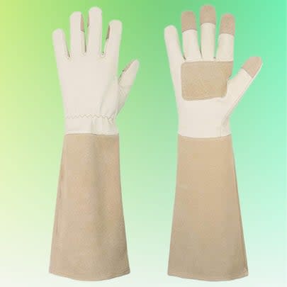 A pair of long thorn-proof gloves