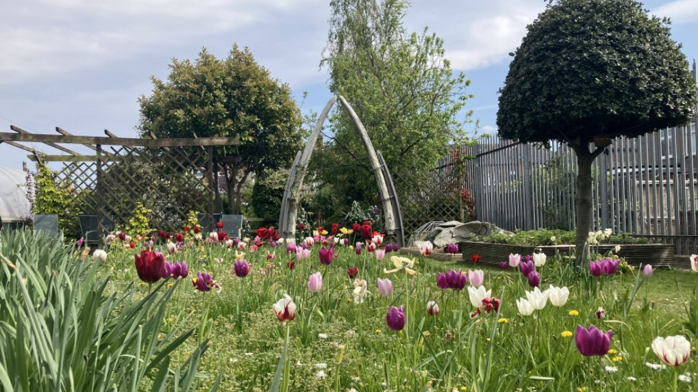 Whale jawbones from 1892 find new home in garden Yahoo lifestyle home